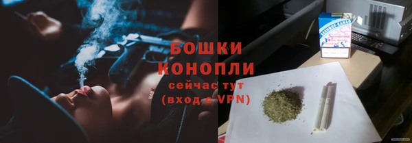 сатива Волосово